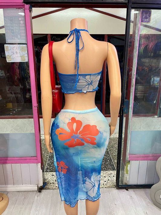 Blue Mesh Skirt Set