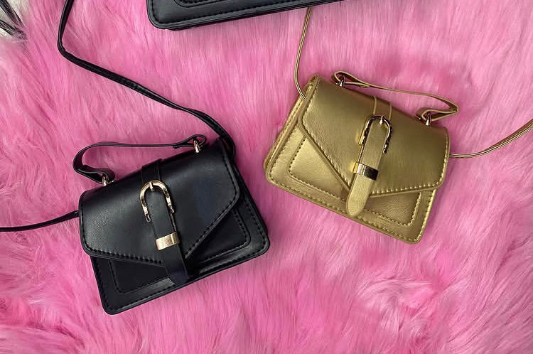 Mini Buckle Bag