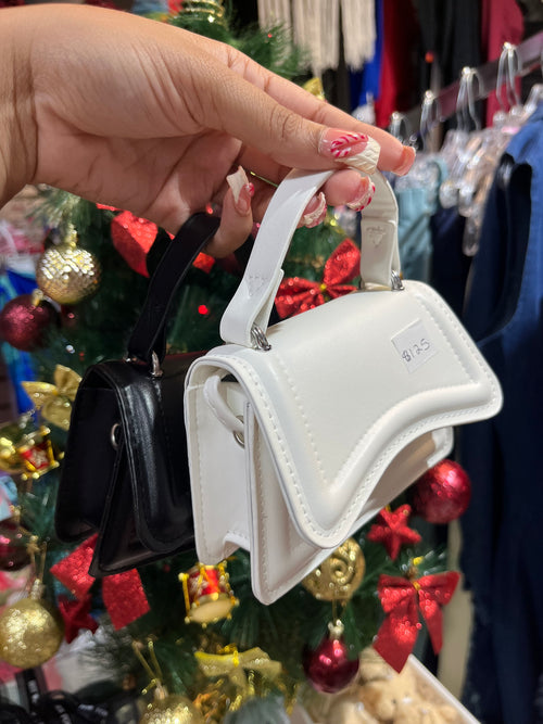 Mini Curved Bag